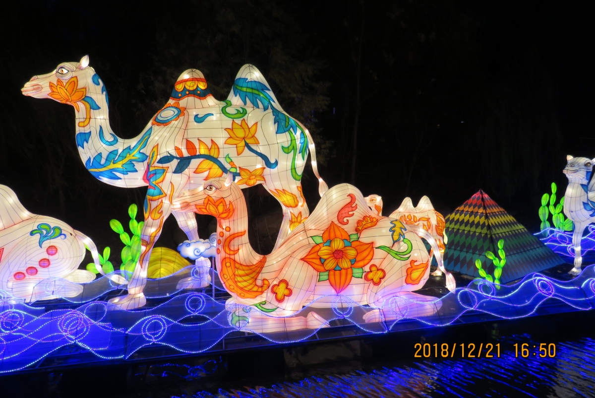 IMG_9211.JPG