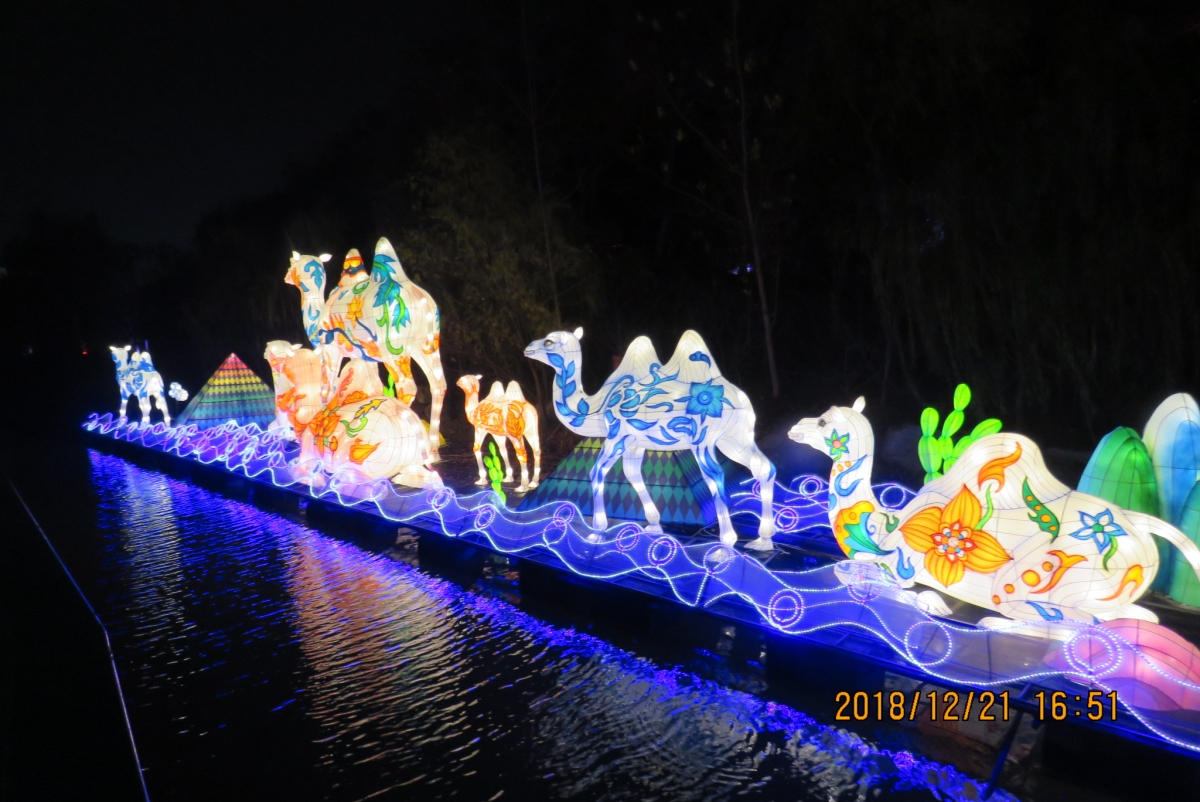 IMG_9213.JPG