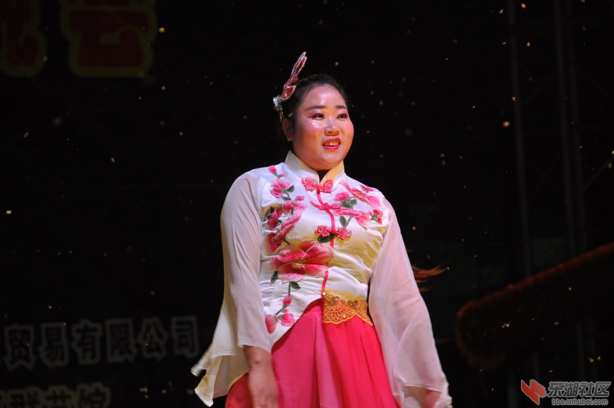 DSC_0210.JPG