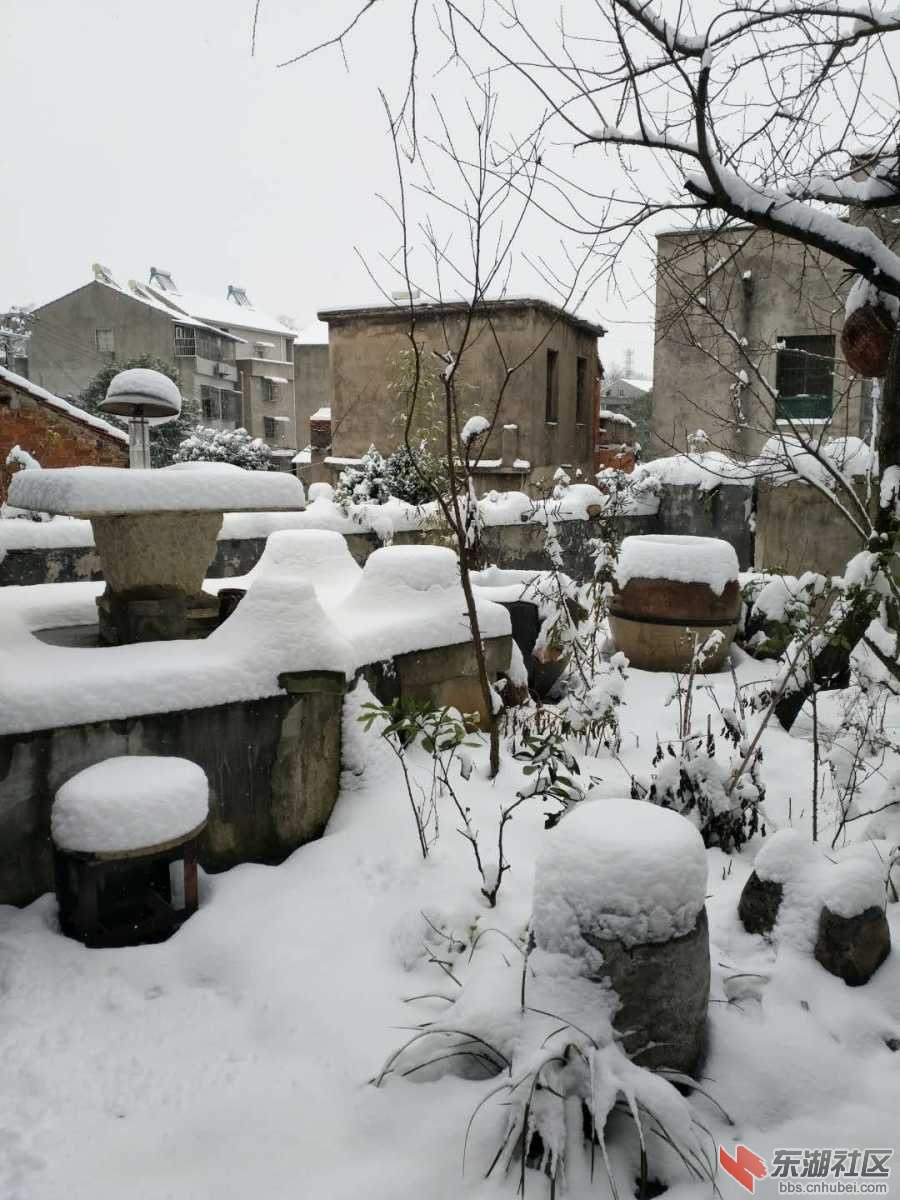 DB8253C0-4D65-43DE-B0CF-C6AECDD69B8A.jpeg