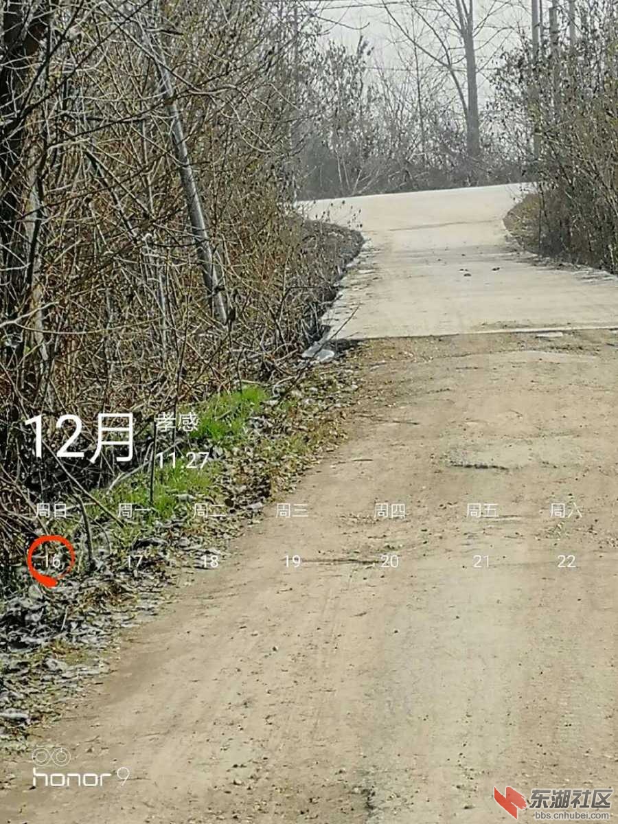 mmexport1547712389128.jpg