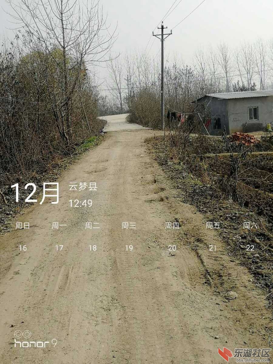 mmexport1547712376196.jpg