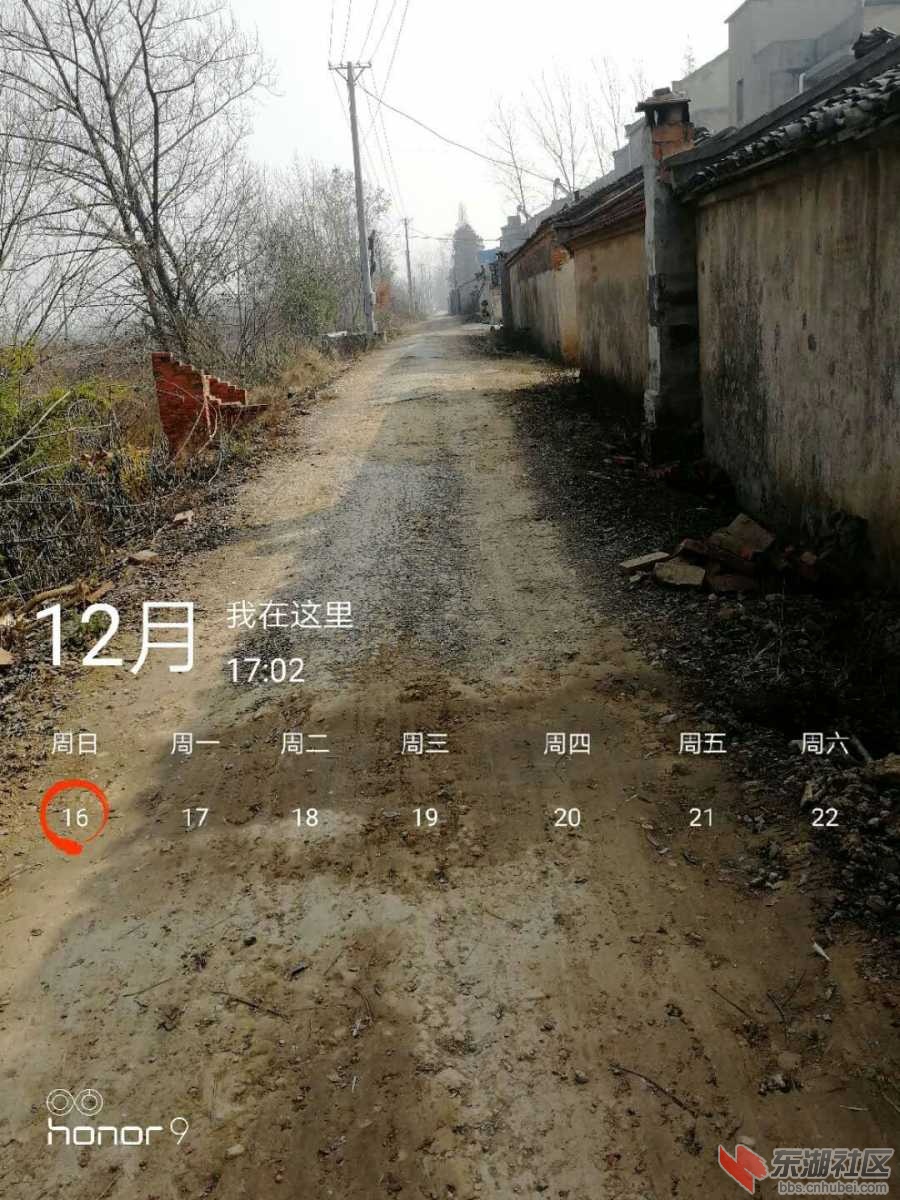 mmexport1547712304445.jpg