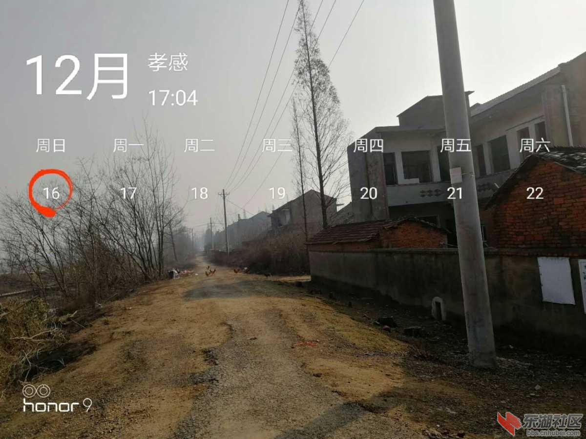 mmexport1547712328920.jpg