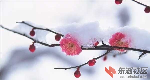 IMG_20190120_172426.jpg