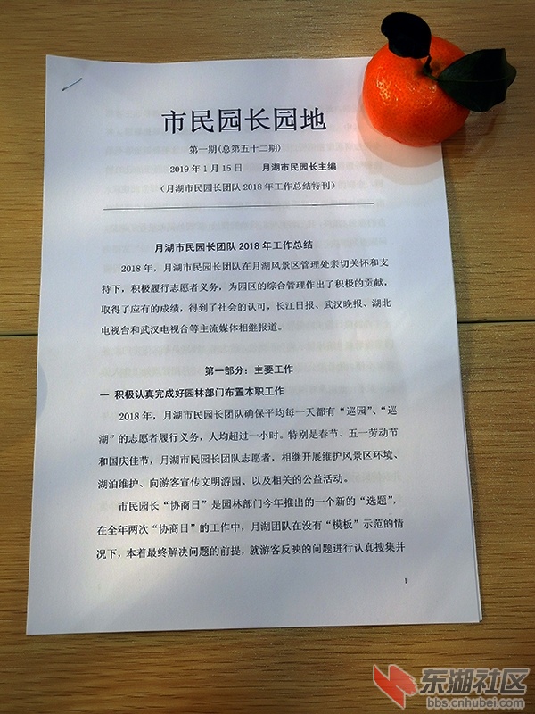 7    DSCN0406.jpg