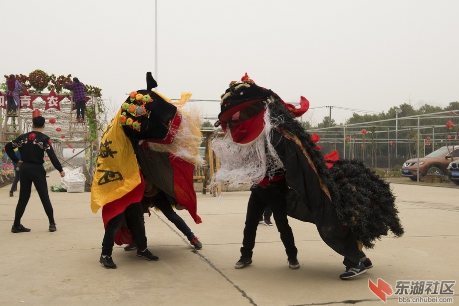 陈庆选  摄影 b (4).jpg