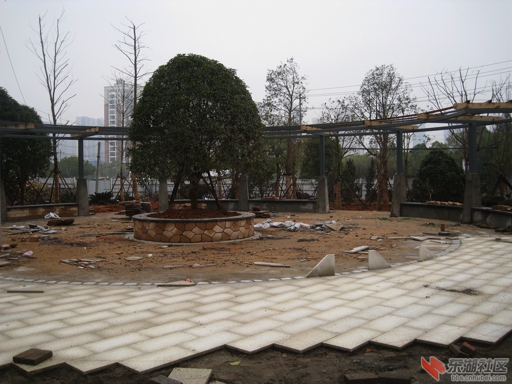 04.jpg