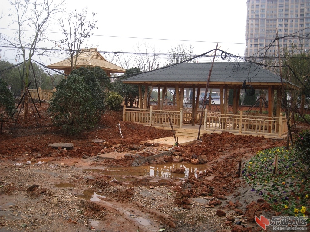 05.jpg