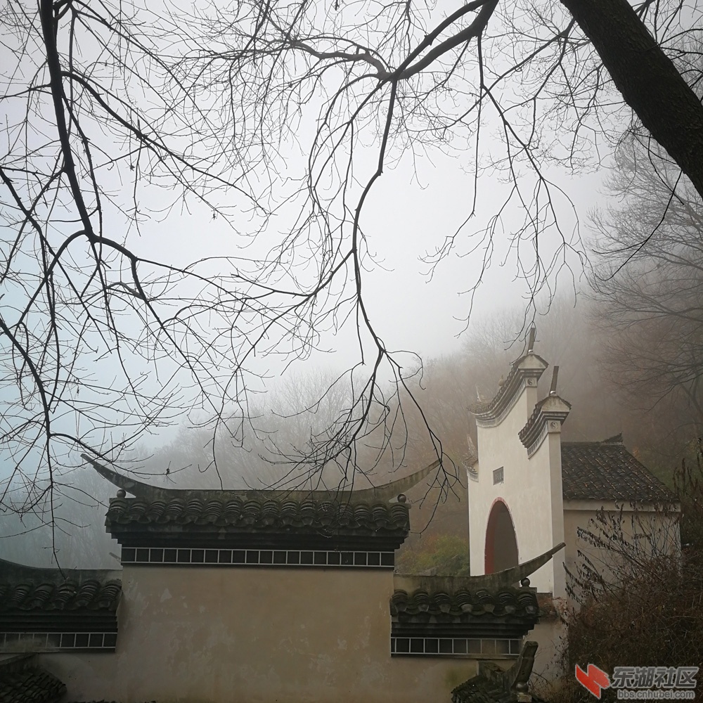 微信图片_20190212182716.jpg