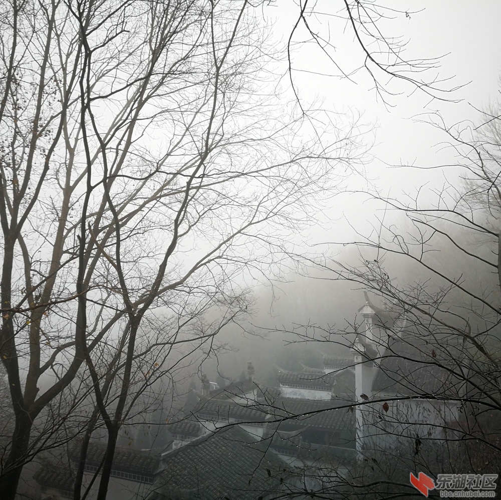 微信图片_20190212182727.jpg