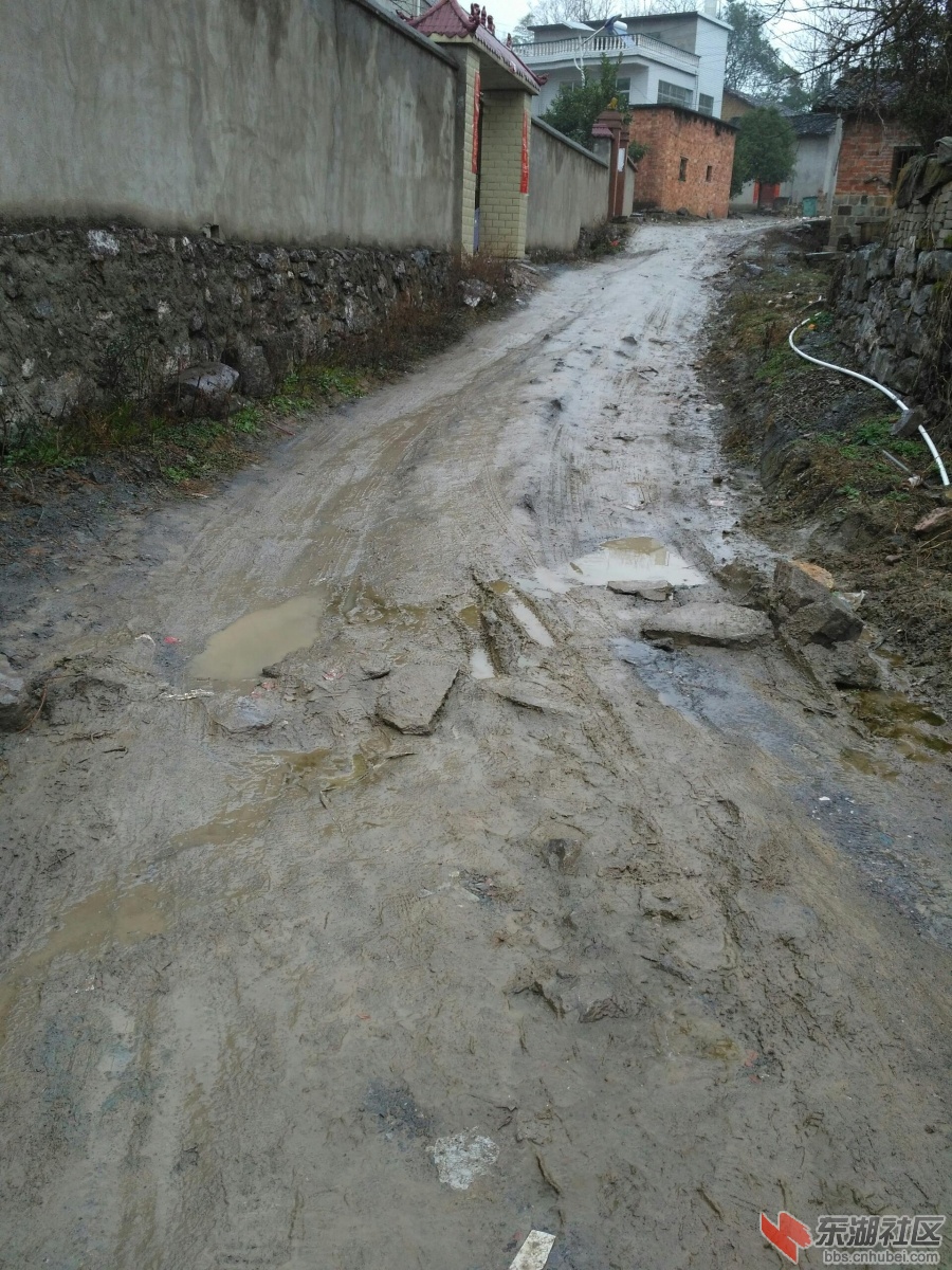 陈祠组路5.jpg