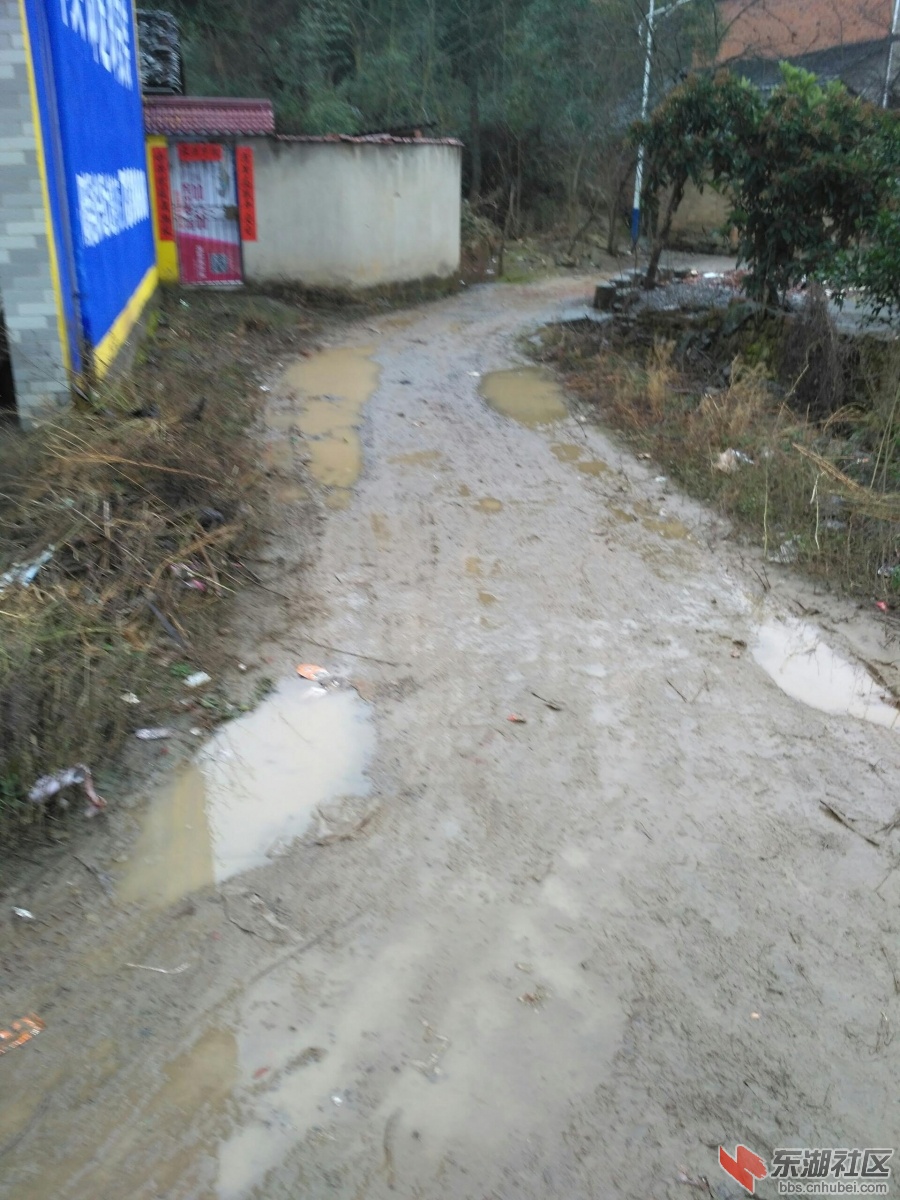 陈祠组路.jpg