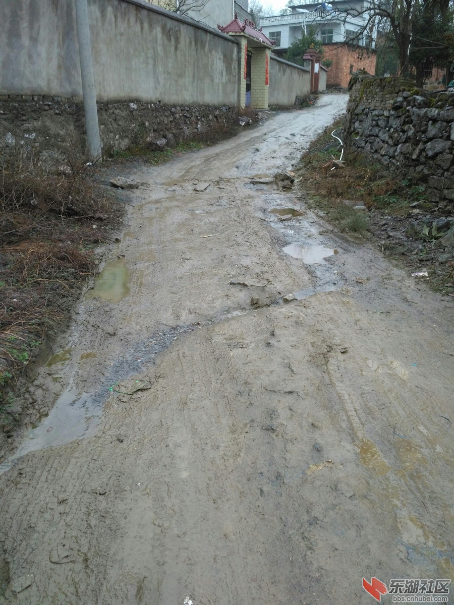 陈祠组路4.jpg