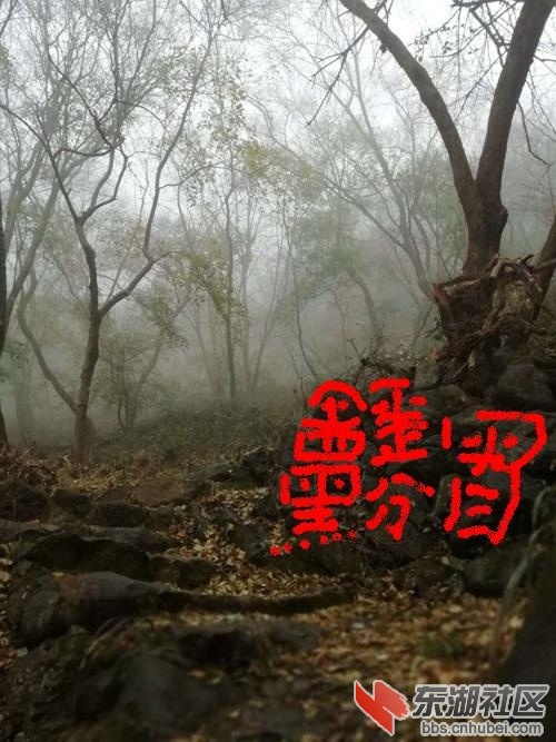 熊王焚冒.jpg