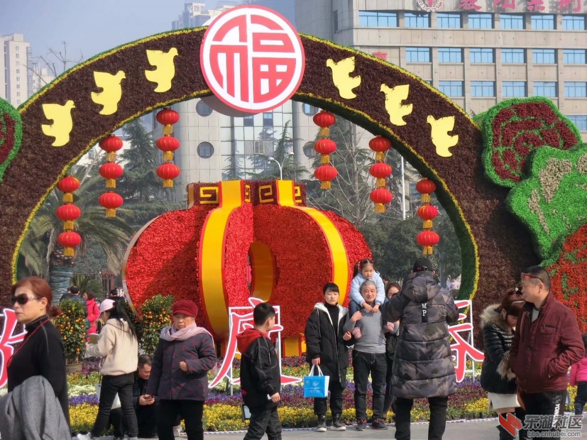 CIMG5934.jpg