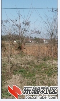 202857kze5nrz04gzrhx0e.jpg