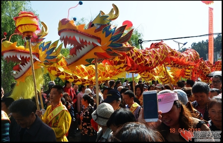2345_image_file_copy_51[2].jpg