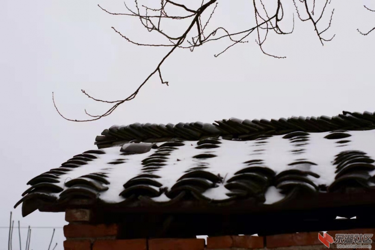 瑞雪兆丰年