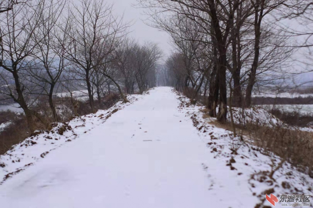 瑞雪兆丰年