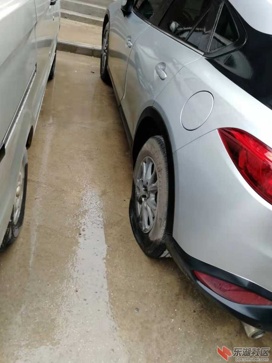 mmexport1551748930392.jpg