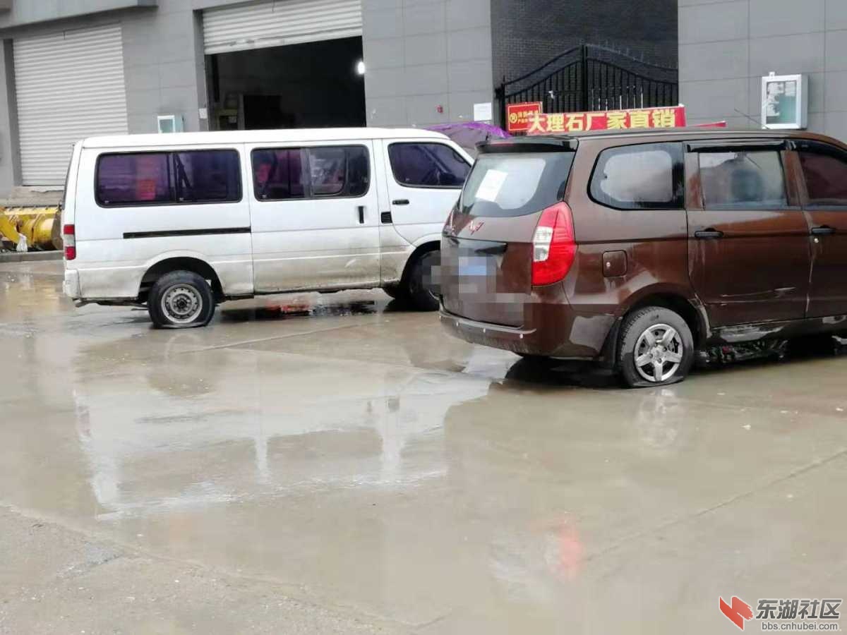 mmexport1551748928092.jpg