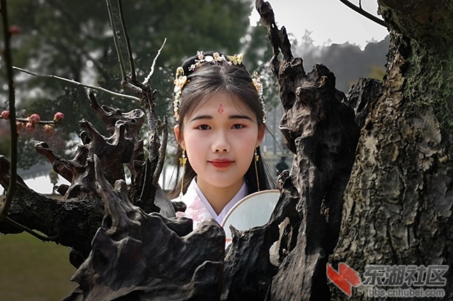 梅花仙女 曾院平摄影.jpg