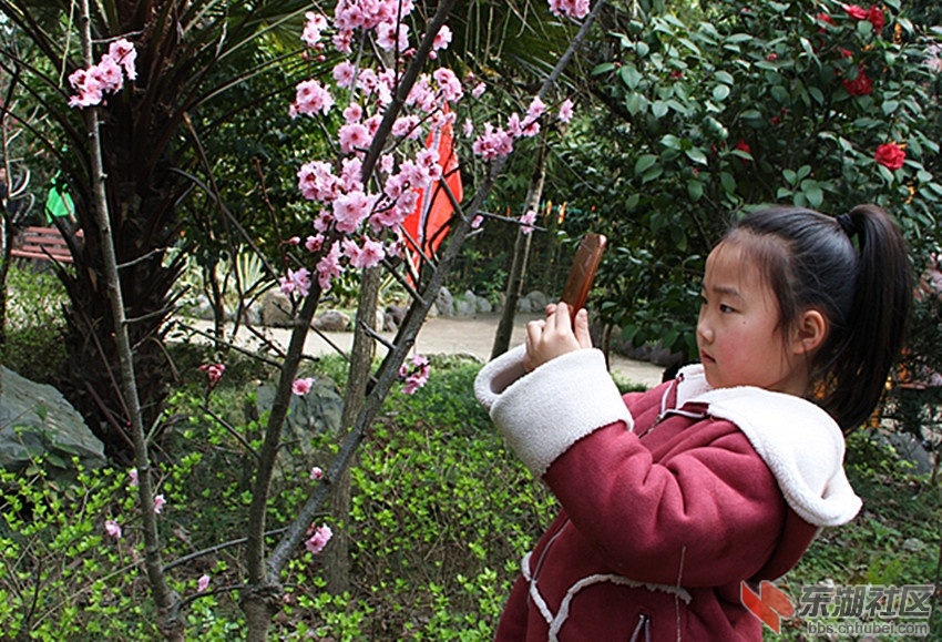 IMG_0051_拍照.jpg