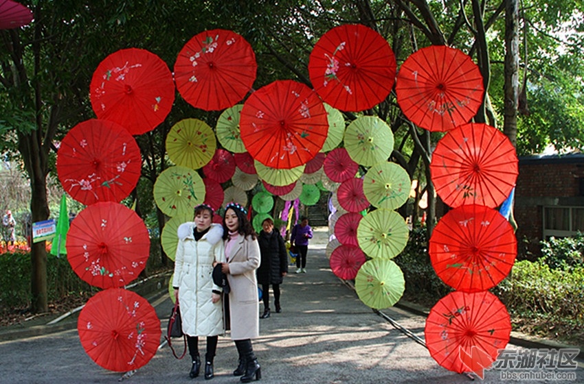 IMG_0018_副本.jpg