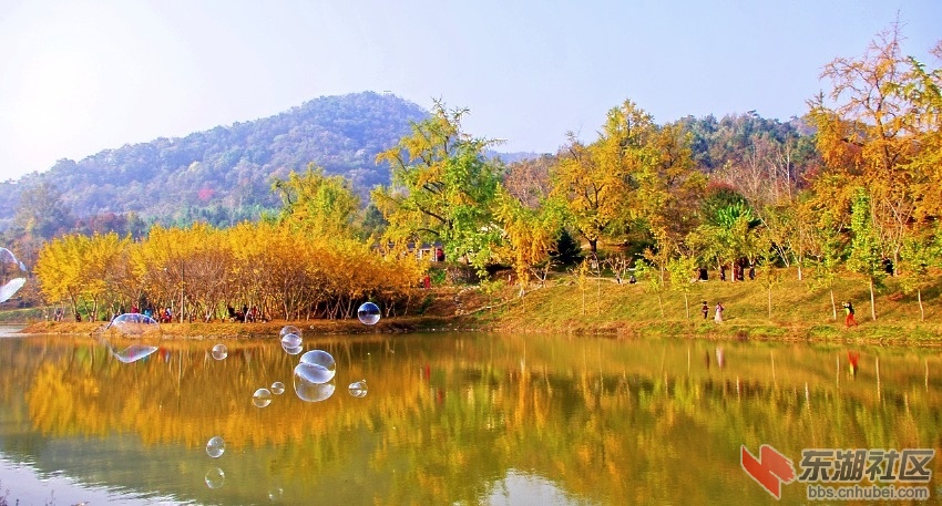 IMGP4928_conew1.jpg