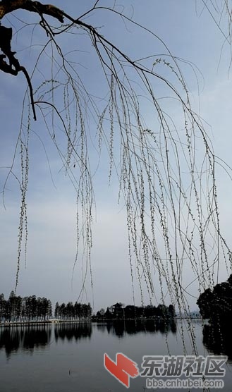 IMG_20190314_151039 - 副本.jpg