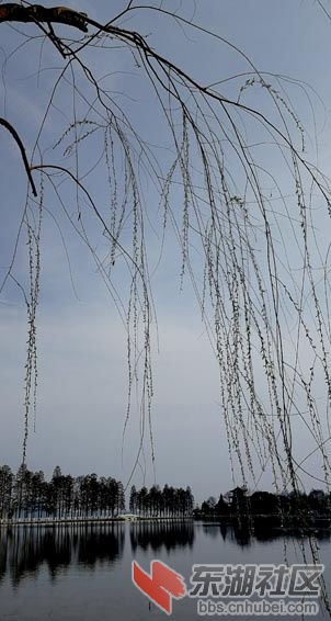 IMG_20190314_155808 - 副本.jpg
