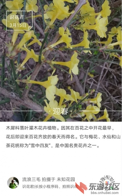 213606hxm5wqiisxxbd5mi.jpg.thumb.jpg