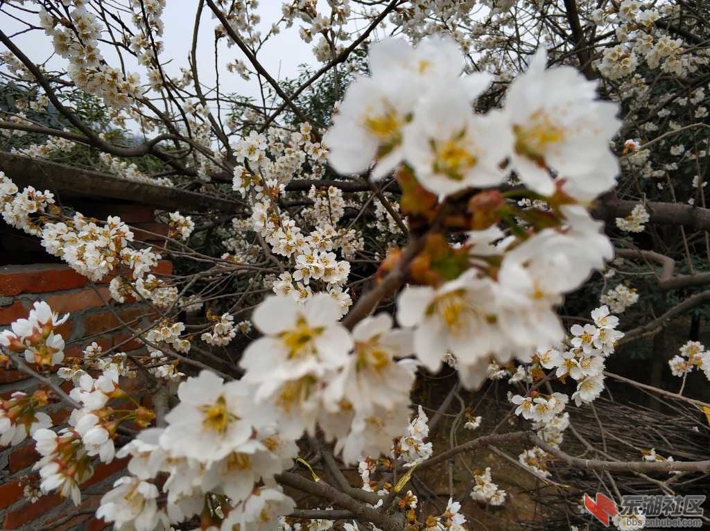 IMG_20190317_170503.jpg