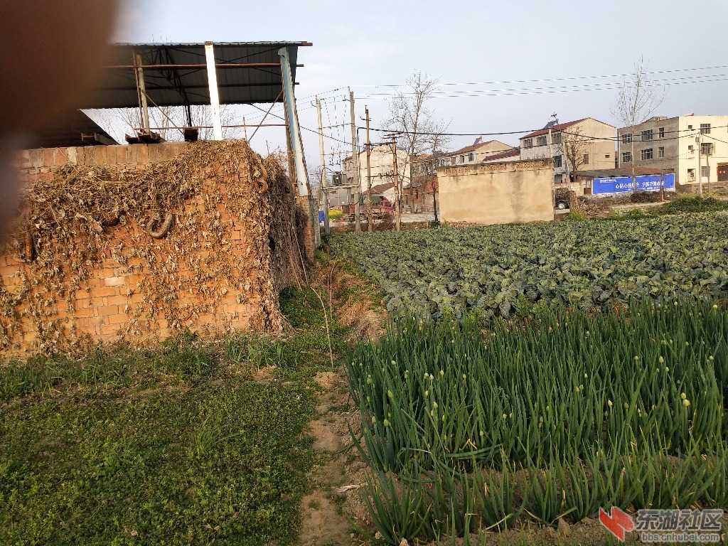 IMG_20190319_073425.jpg
