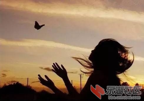 微信图片_20181130170231.jpg
