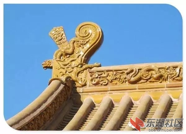 微信图片_20190322191836.jpg