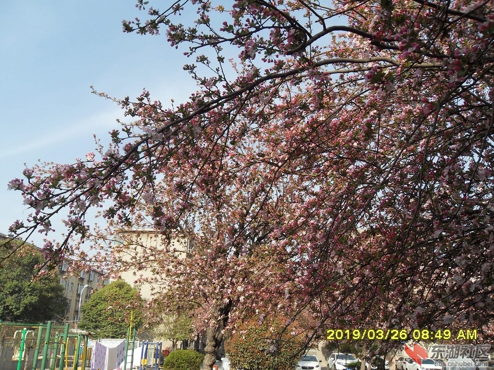 SDC10737.JPG