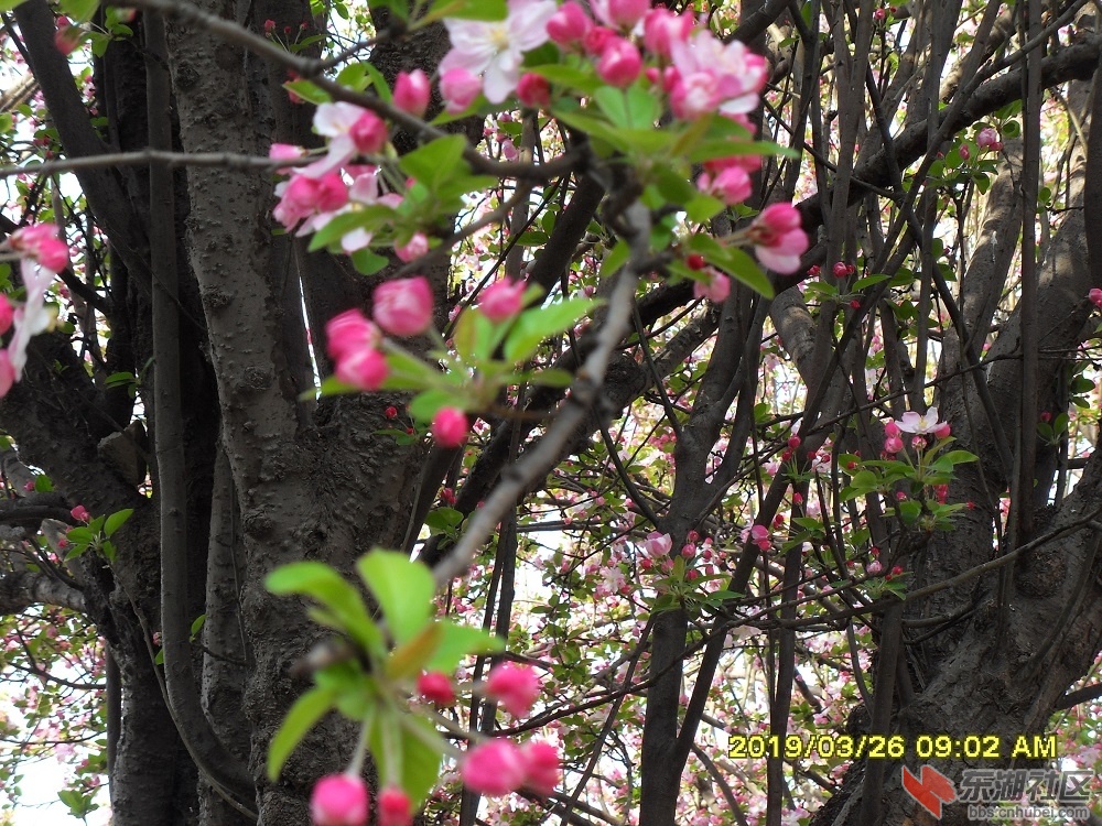 SDC10764.JPG