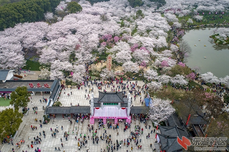1.高空俯视东湖樱园新改建大门入口曾院平摄影.jpg