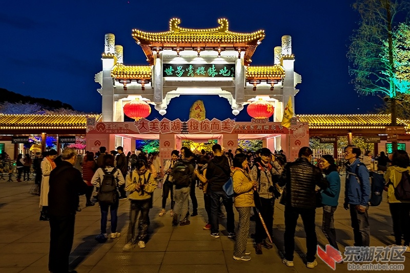 2.东湖樱园新改建大门夜景曾院平摄影.jpg