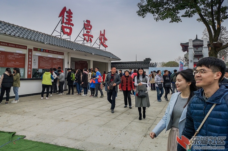 4.东湖樱园新改建大门售票处一角曾院平摄影.jpg