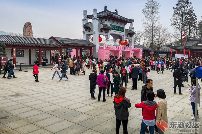 5.东湖樱园新改建大门前广场 曾院平摄影.jpg