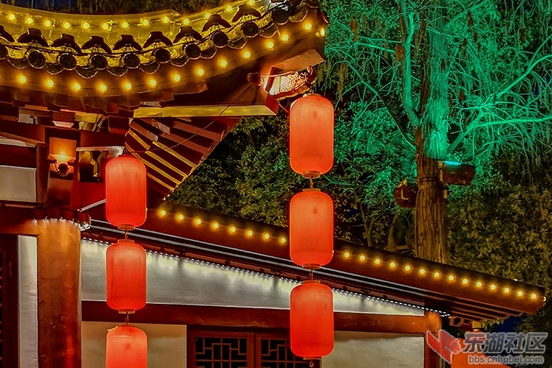 17.东湖樱园外设置的商店之二曾院平摄影.jpg