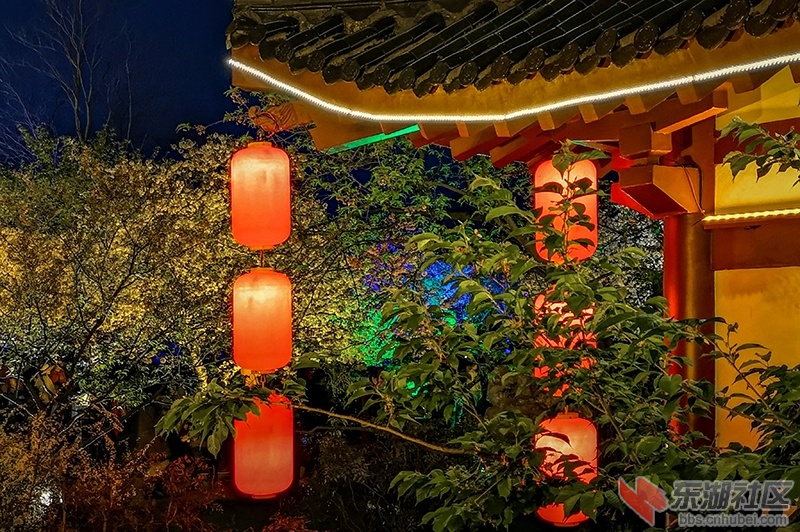 16.东湖樱园外设置的商店之三曾院平摄影.jpg