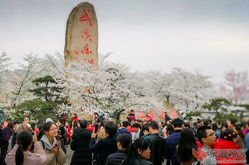18.东湖樱园主石标志曾院平摄影.jpg