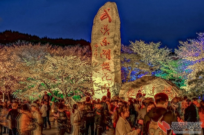 19.东湖樱园主石标志夜景 曾院平摄影.jpg