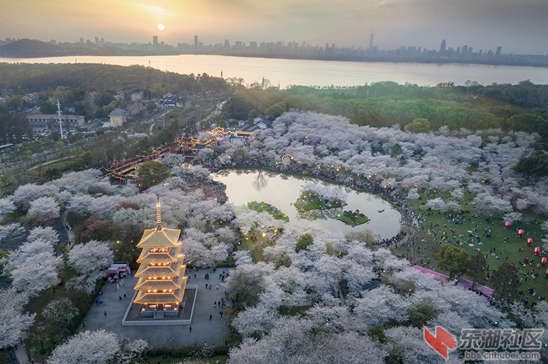 20.夕阳下的东湖樱园全景图 曾院平摄影.jpg