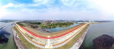 p1_b.jpg