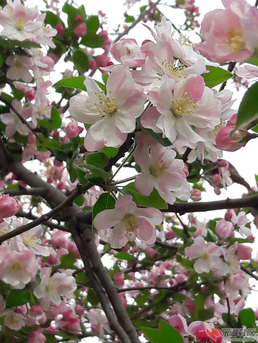 20190327_090501.jpg